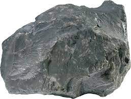 roche